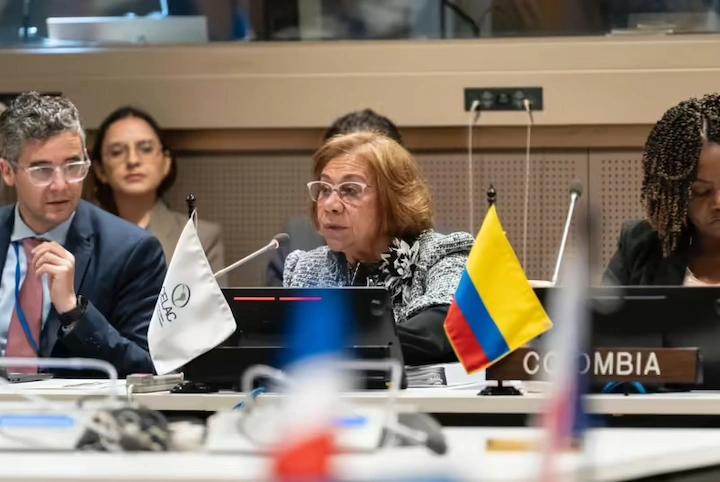 Juana Esperanza Castro Santamaría, designada viceministra de Relaciones Exteriores de Colombia